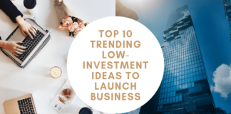 Top 10 Trending Low-Investment Ideas To Launch Business