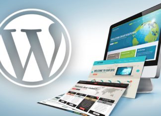 Most Widely Used Ecommerce Plugins for WORDPRESS