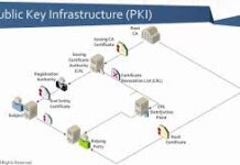 Does PKI Secure Everything Online: Here Is What You Need To Know