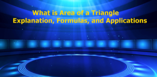 Area of a Triangle - Explanation, Formulas, and Applications