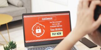 Why You Shouldn’t Try to Fight Ransomware on Your Own