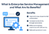 describes Enterprise Service Management